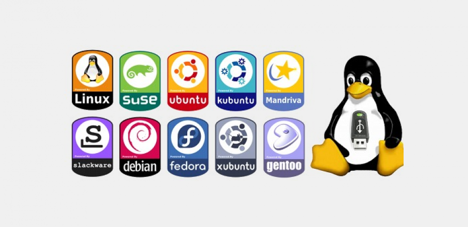 Linux system, what you need to know - Truxgo Server Blog