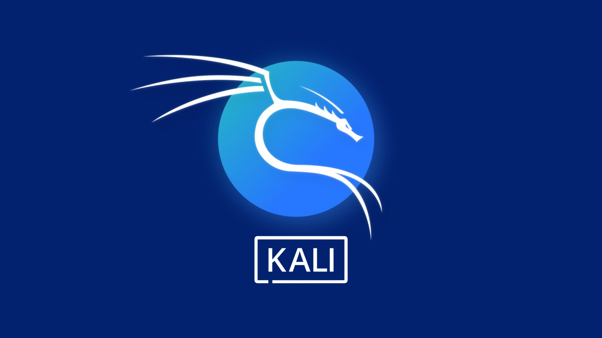 Kali Linux security
